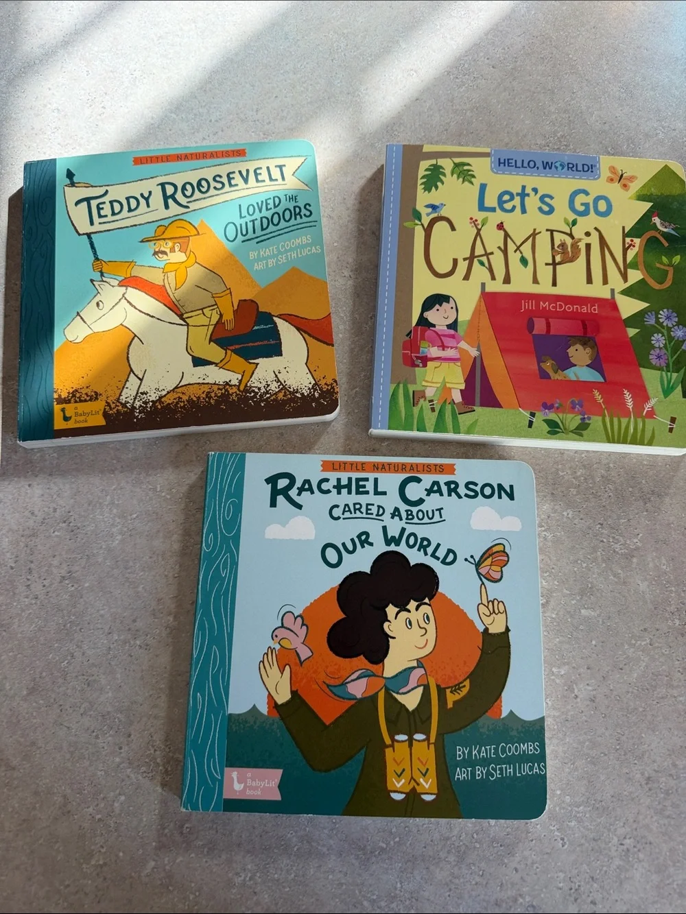 Rachel Carson Cared About Our World Board Book - Teal/Green